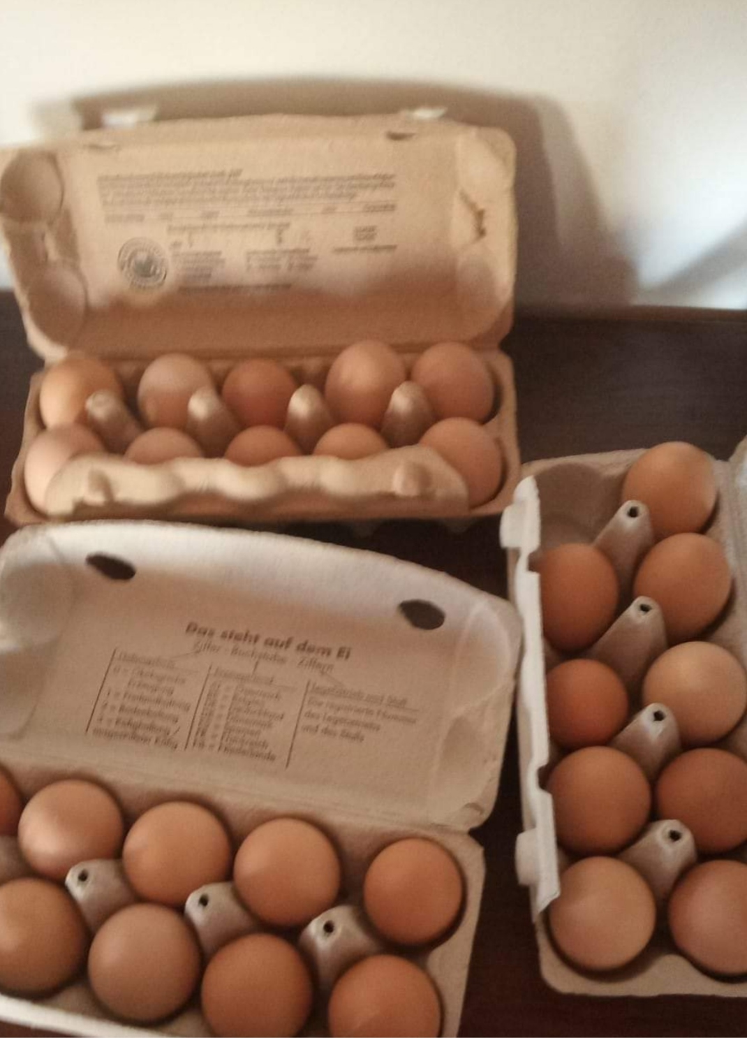 Domáce vajíčka voľný zelený výbeh