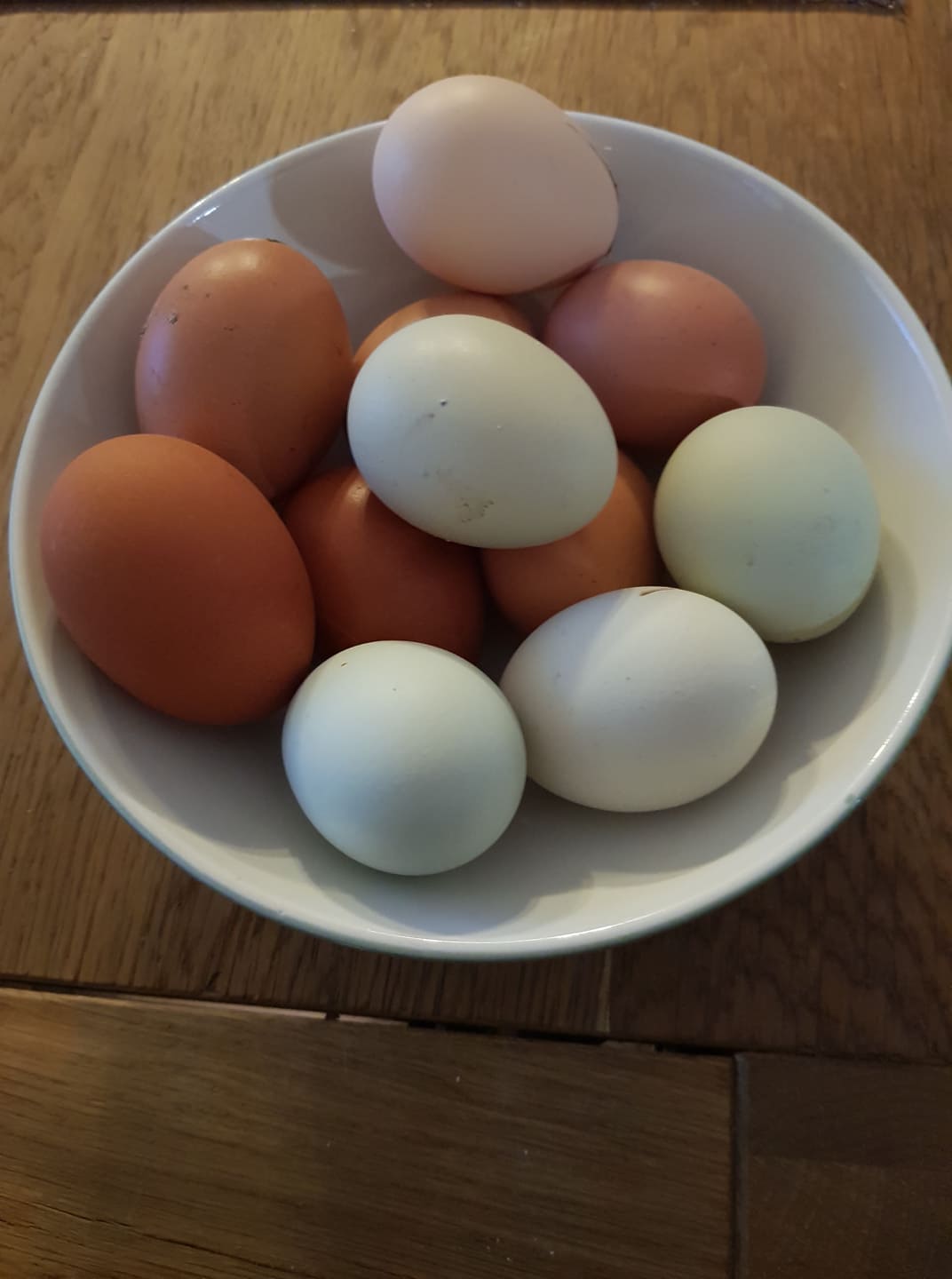 Vajíčka od šťastných sliepok