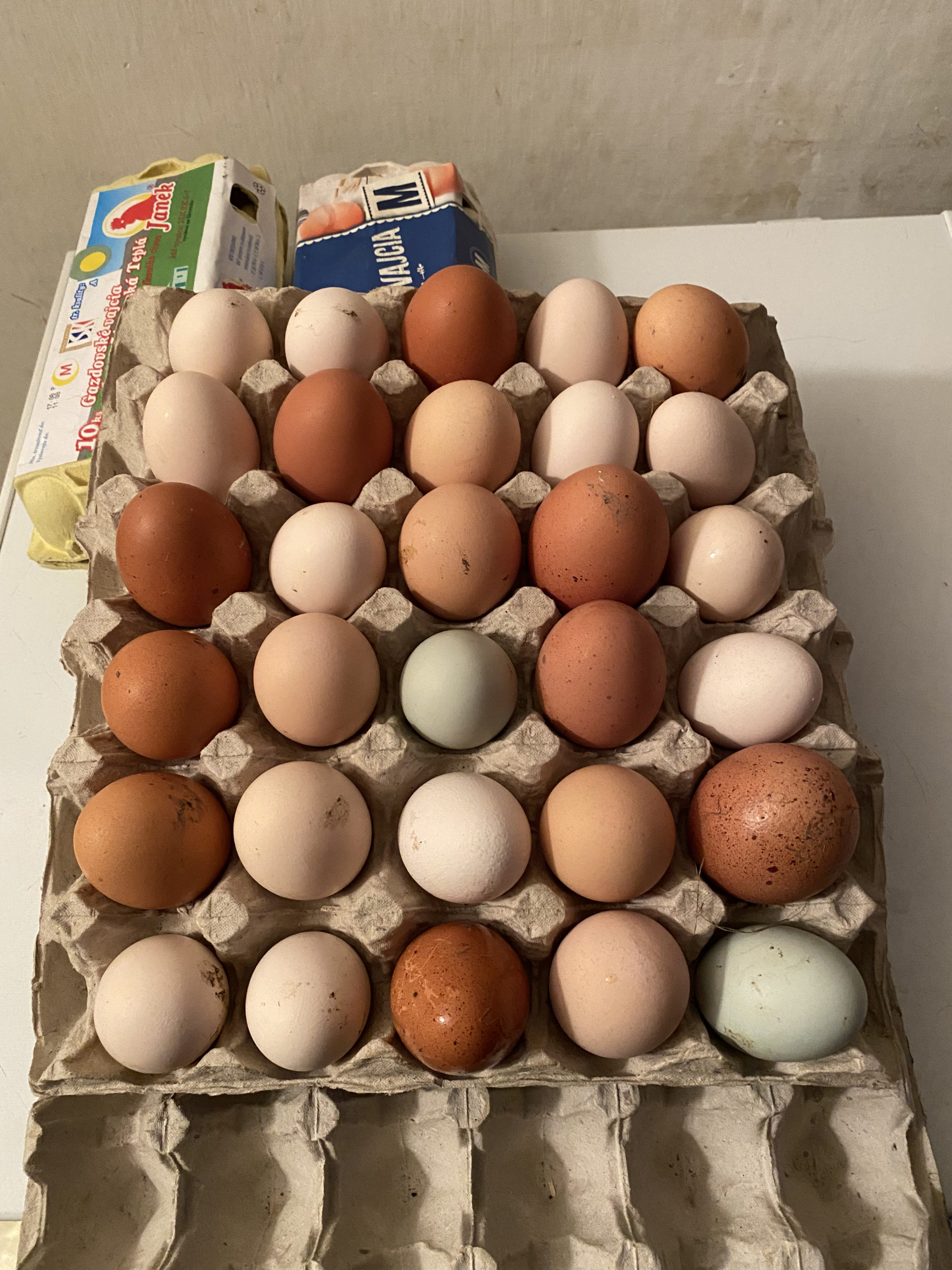 Domáce vajíčka