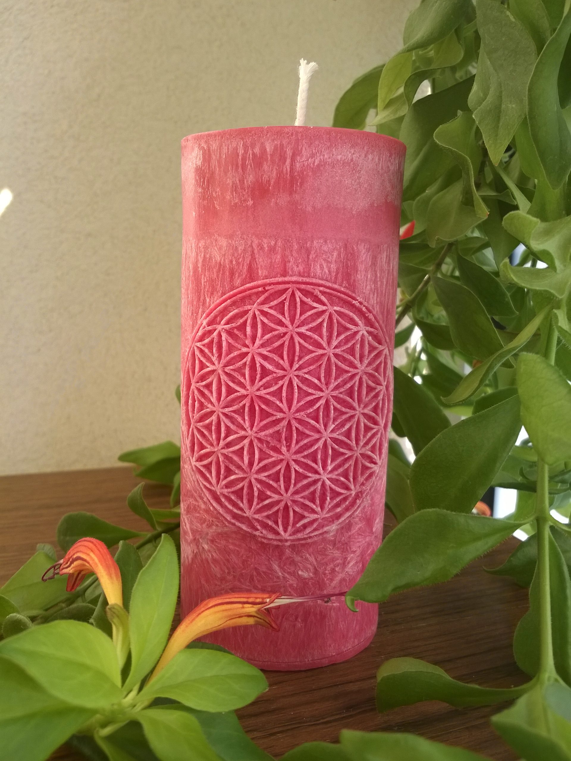 Ručne odlievané sviečky z palmového vosku