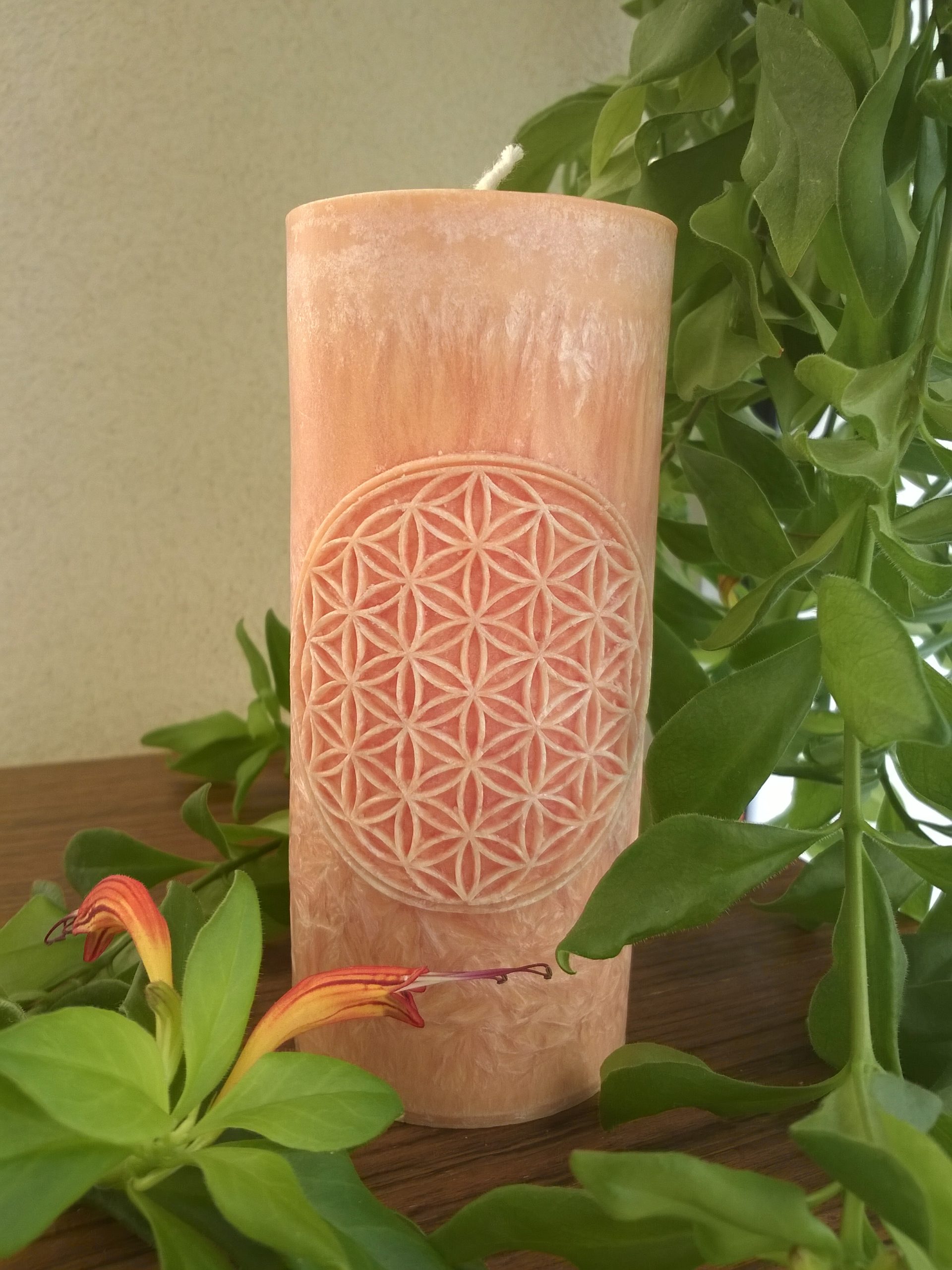 Ručne odlievané sviečky z palmového vosku