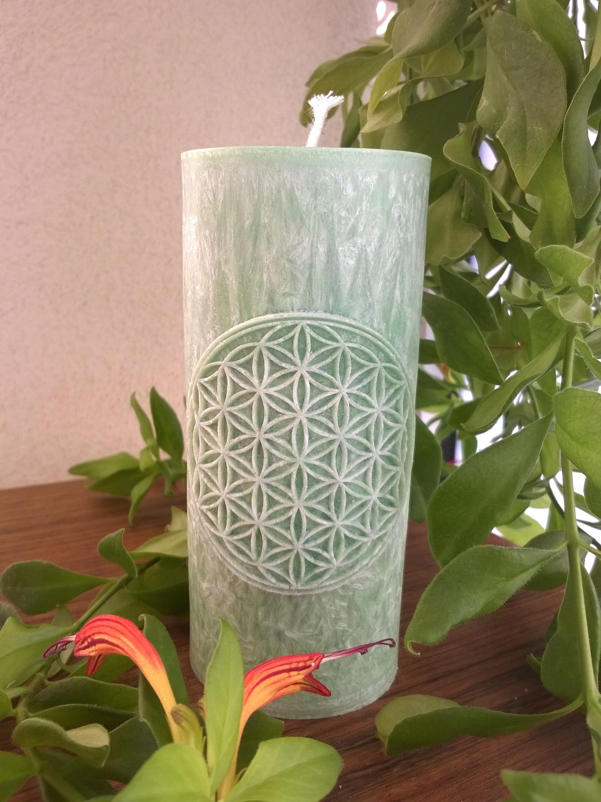 Ručne odlievané sviečky z palmového vosku