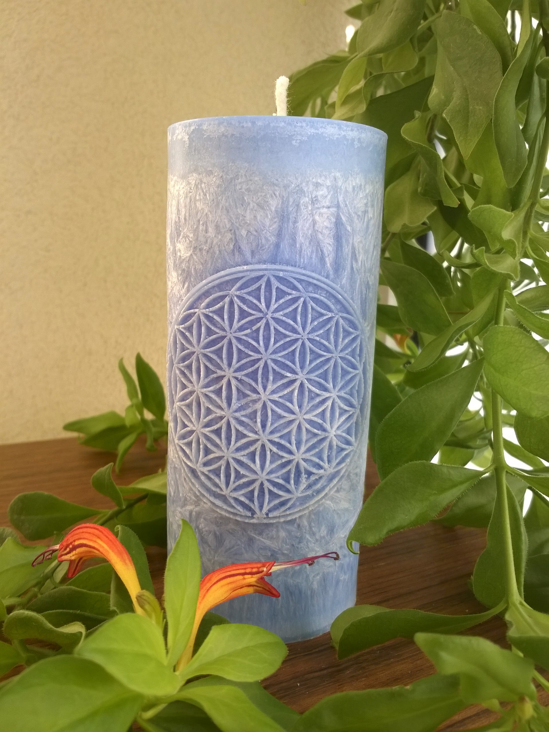 Ručne odlievané sviečky z palmového vosku