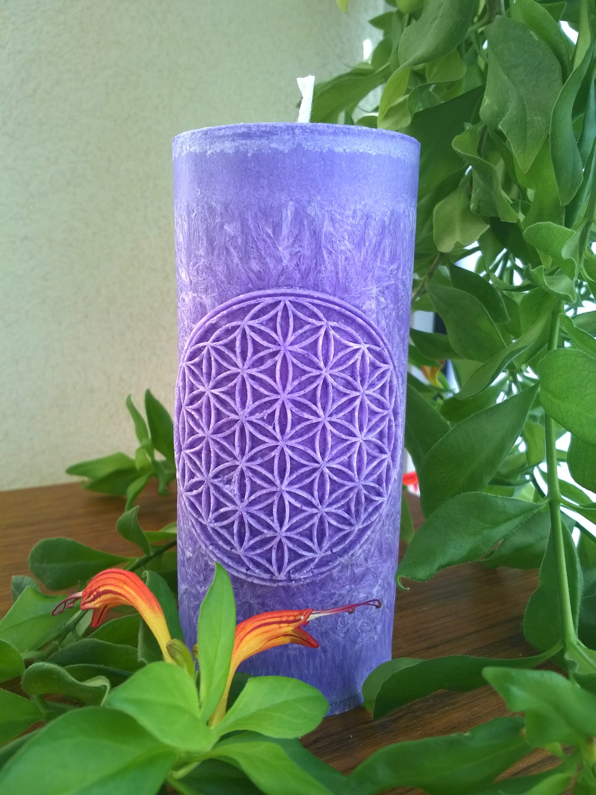 Ručne odlievané sviečky z palmového vosku