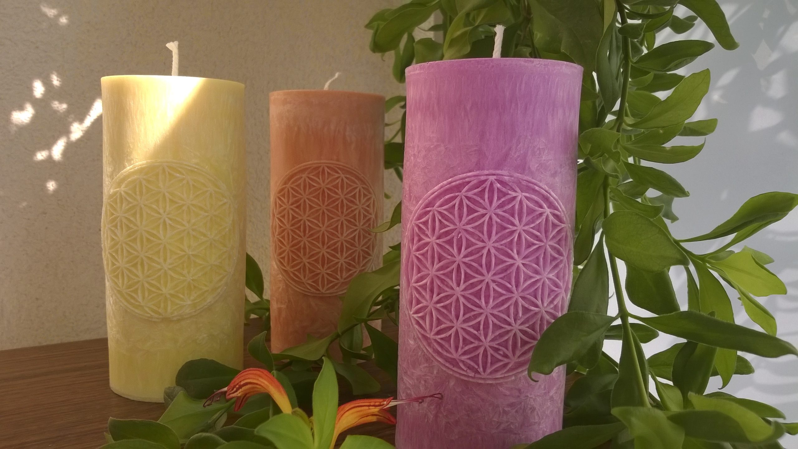 Ručne odlievané sviečky z palmového vosku