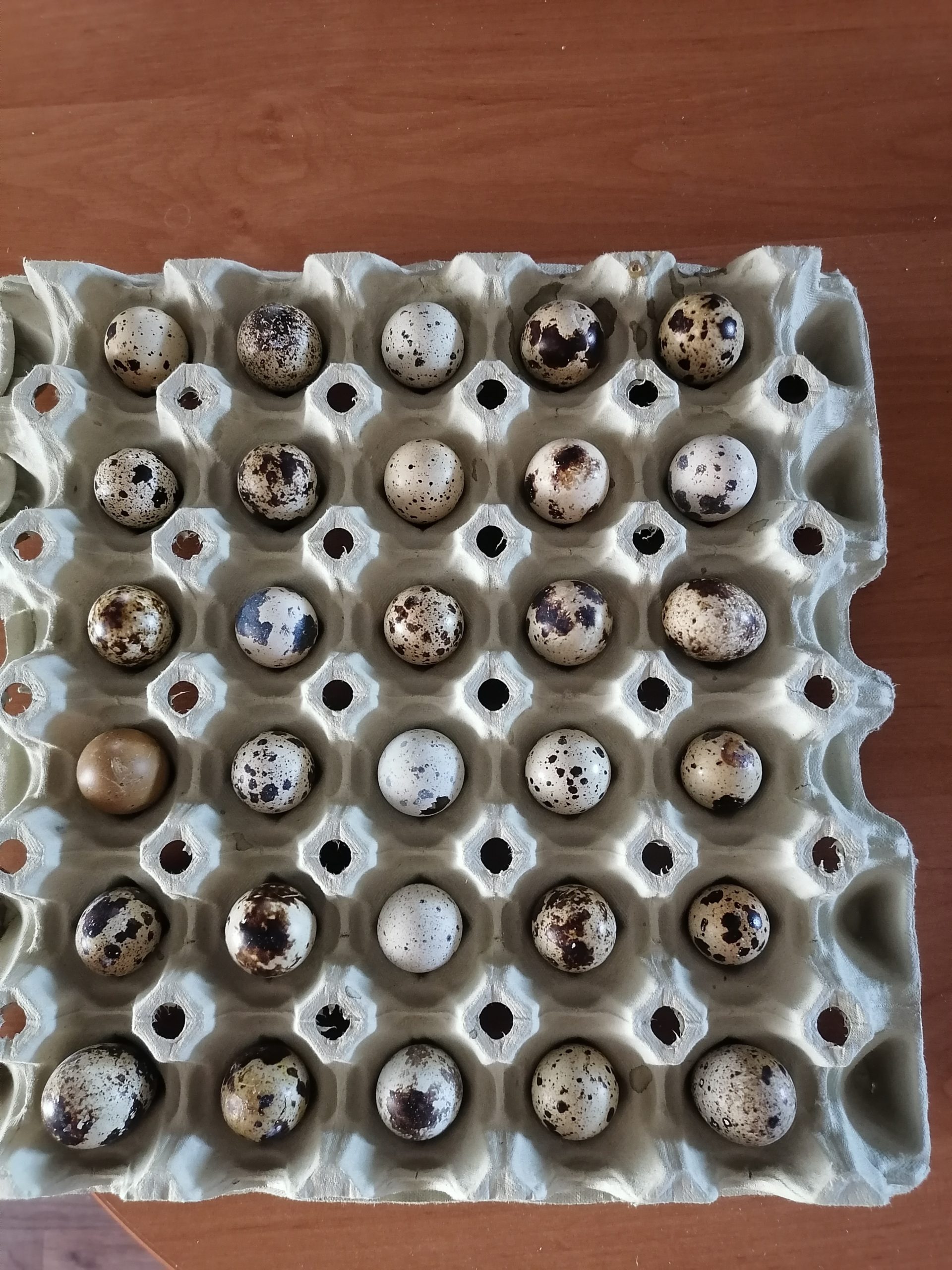 Prepeličie vajíčka