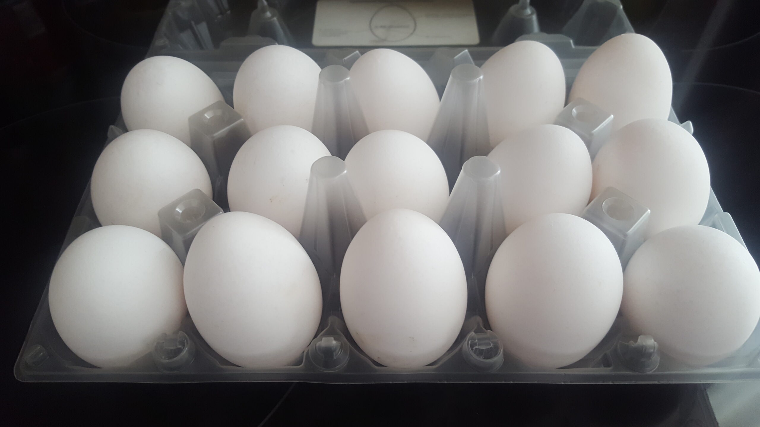 Domace vajicka z volneho chovu