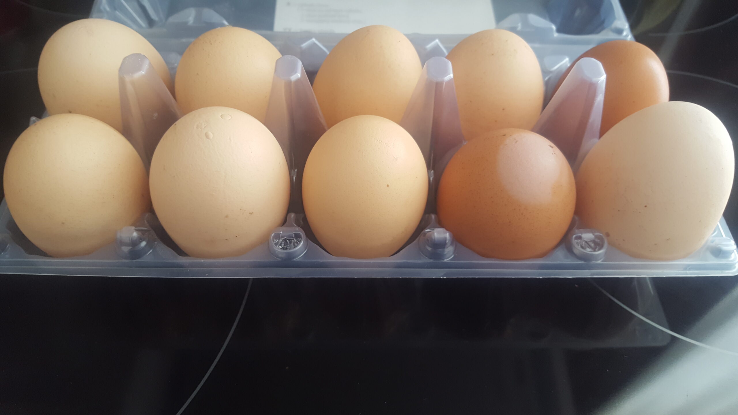 Domace vajicka z volneho chovu