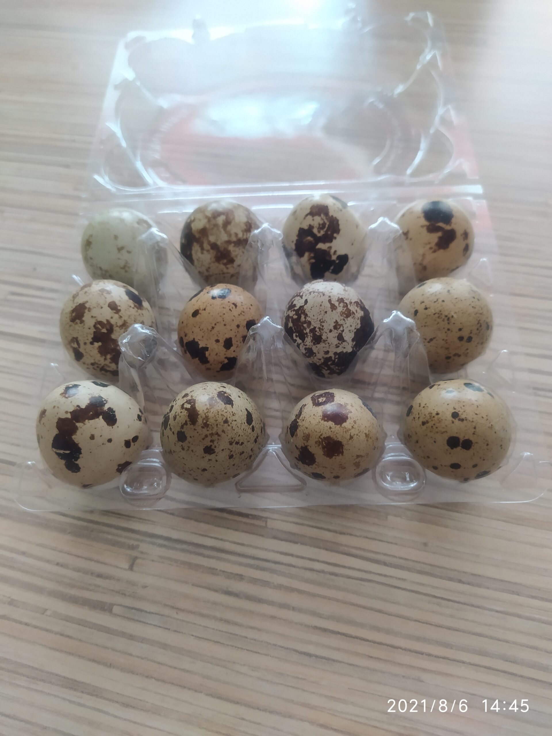 Predám prepeličie vajíčka