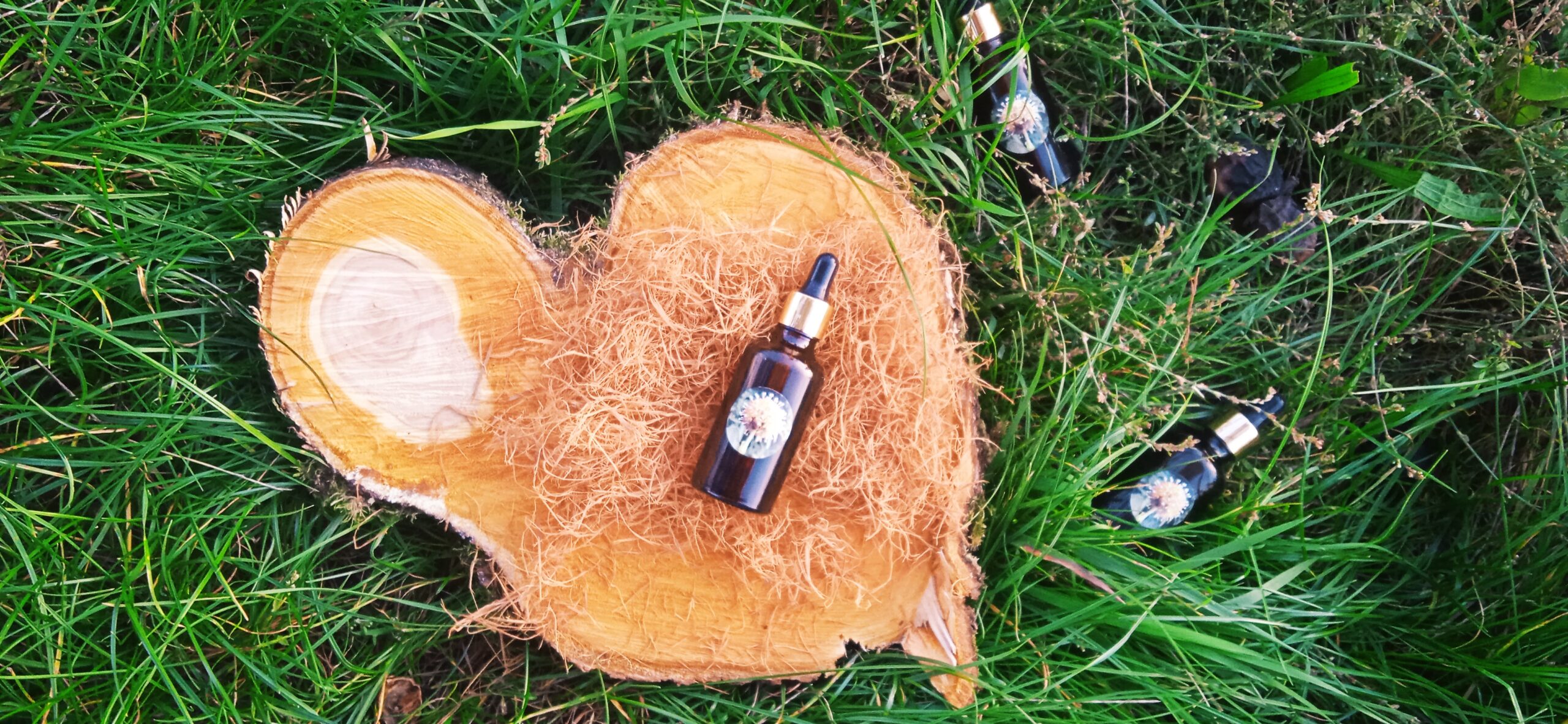 Vilcacora (mačací pazúr) – tinktúra z kráľovnej Amazónie proti Covidu