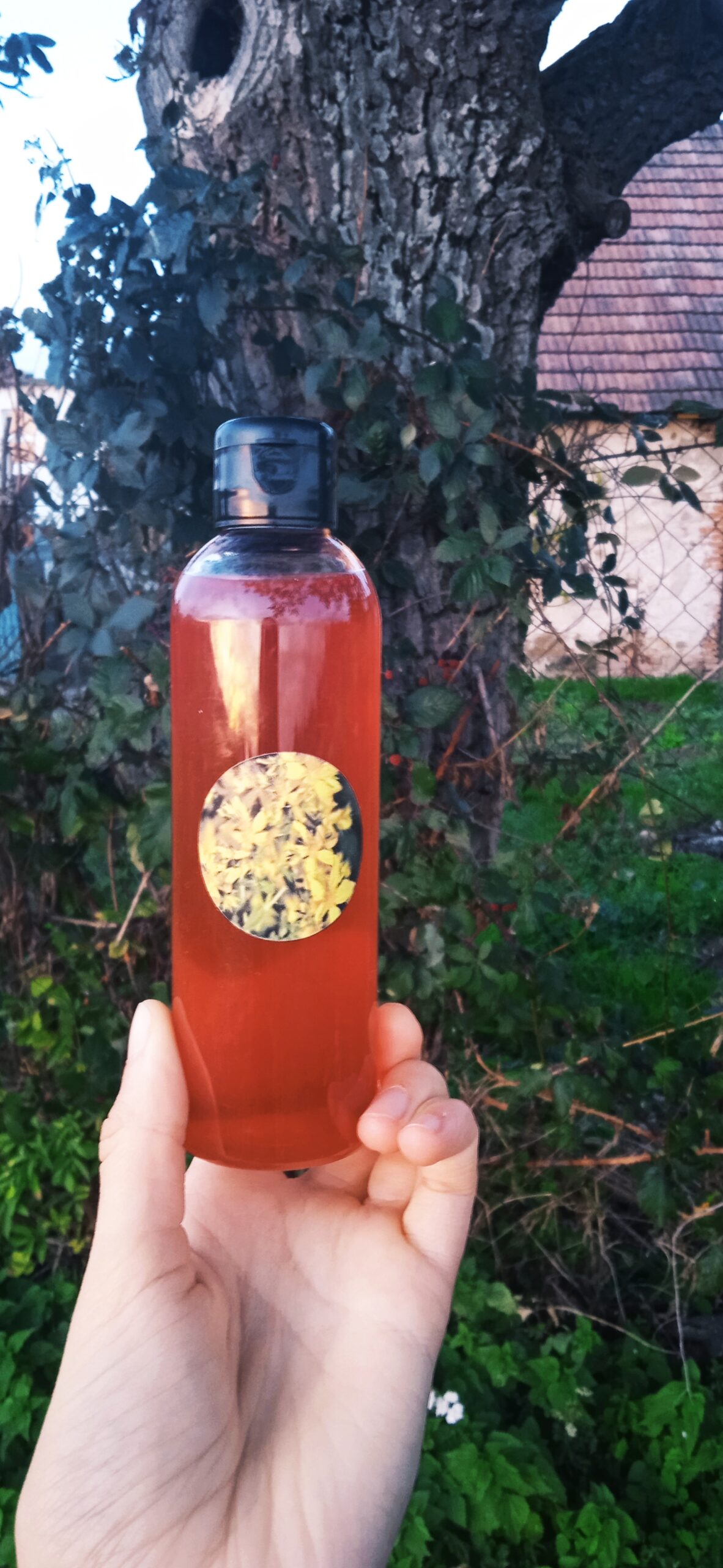 Ľubovníkový olej (svätojánsky – domáci)