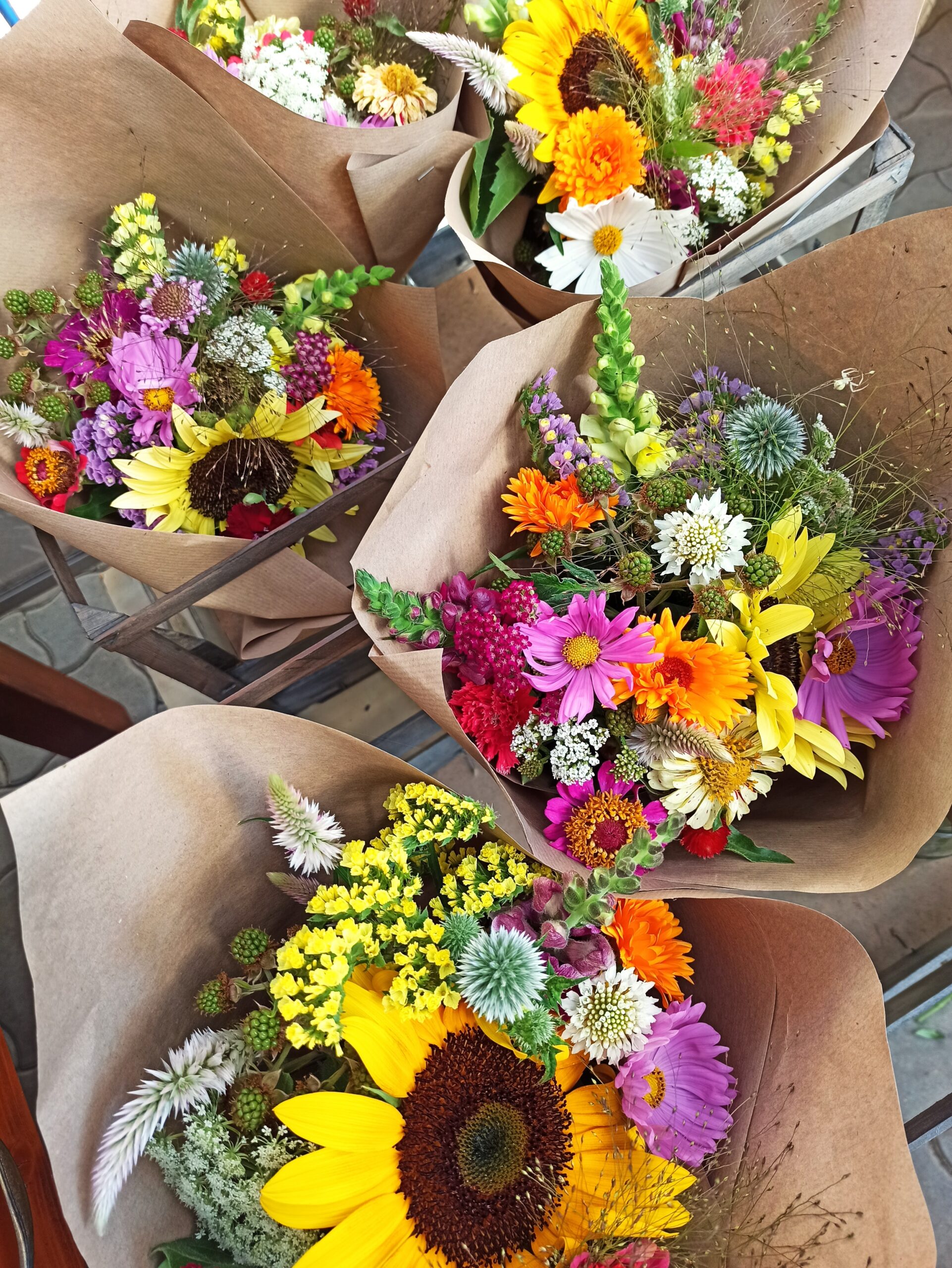 Sezónne slovenské domáce kvety