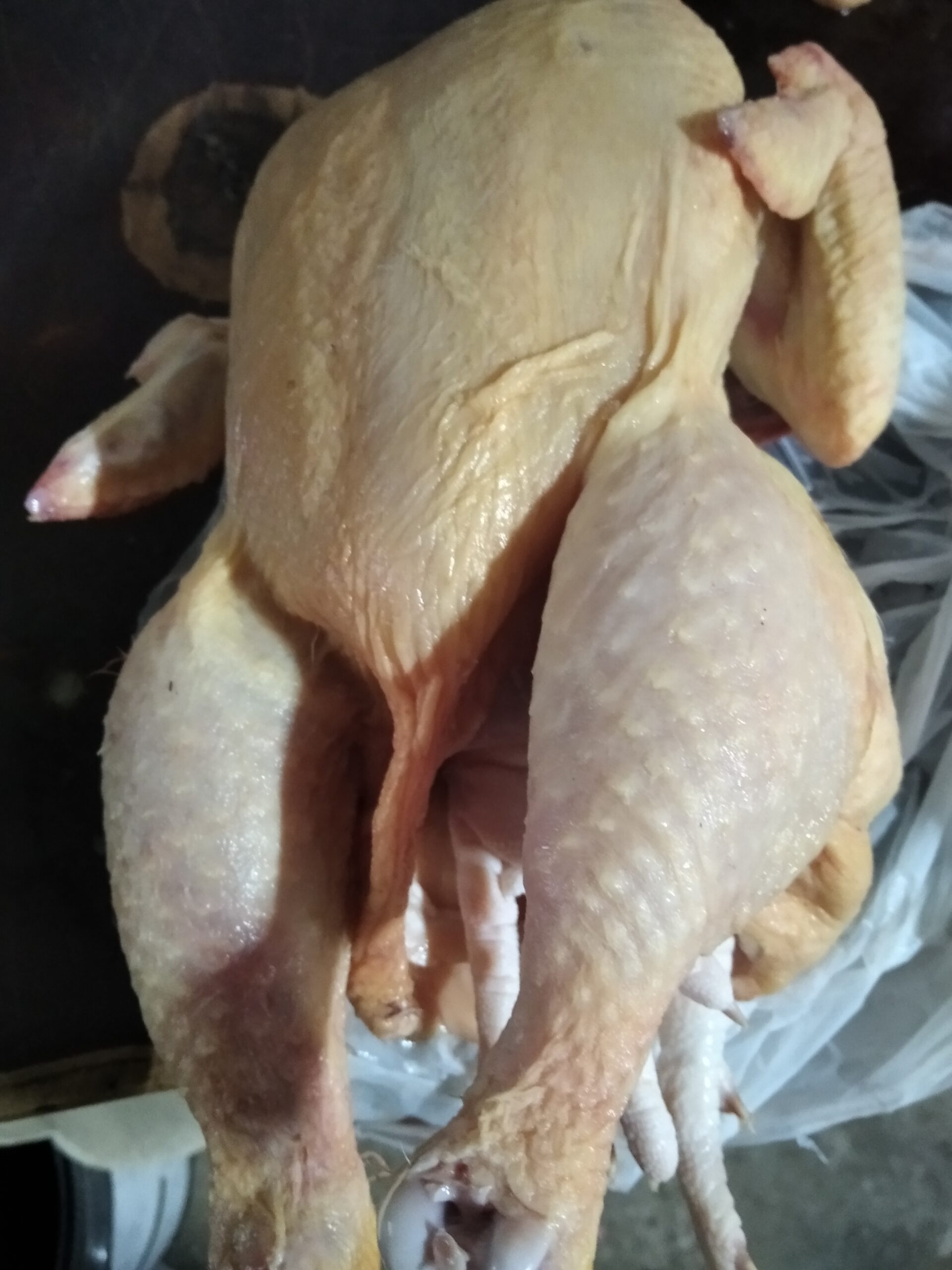 Sedliacké kurča kukuričné