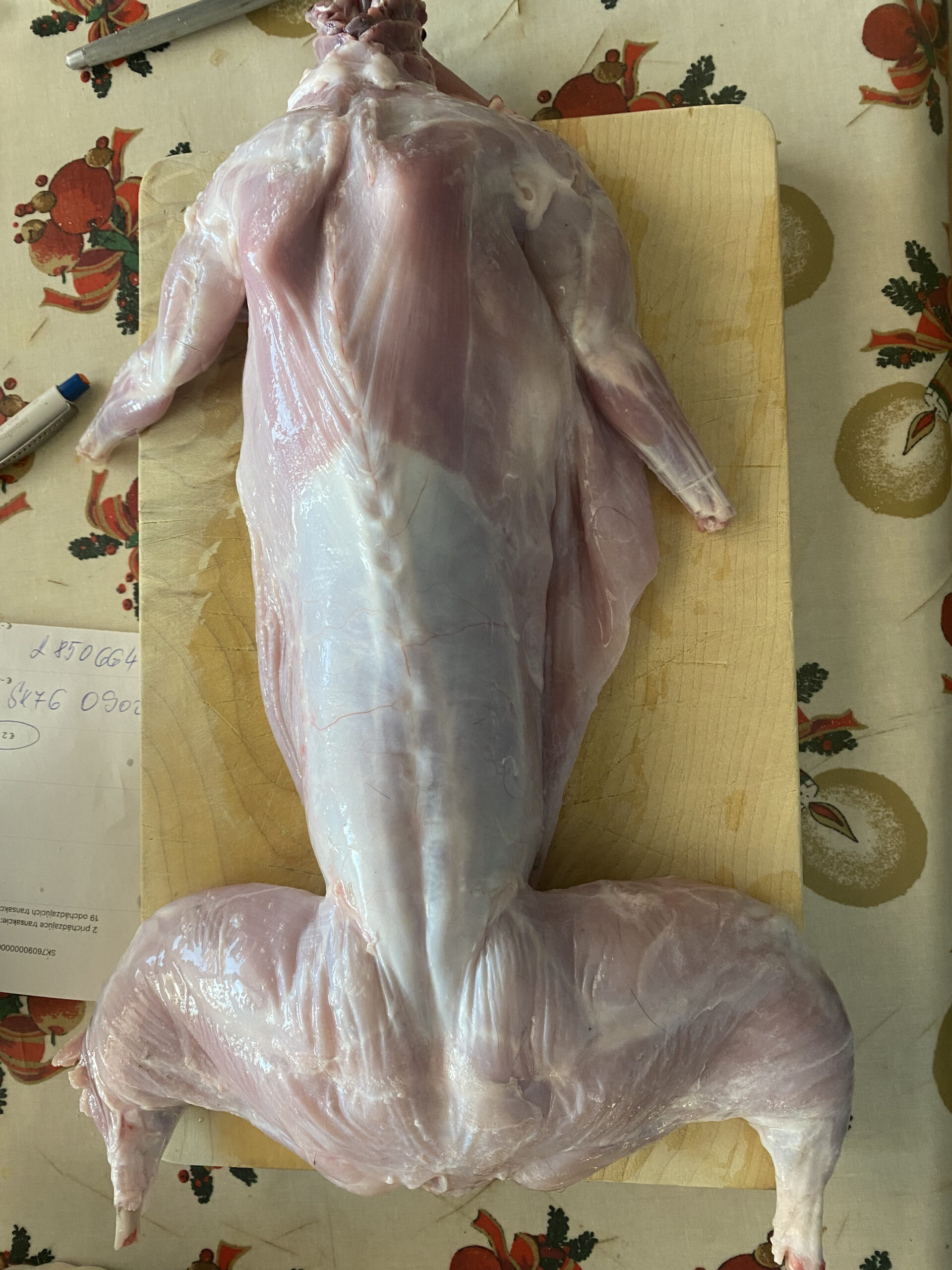 Ponúkam kralicie maso