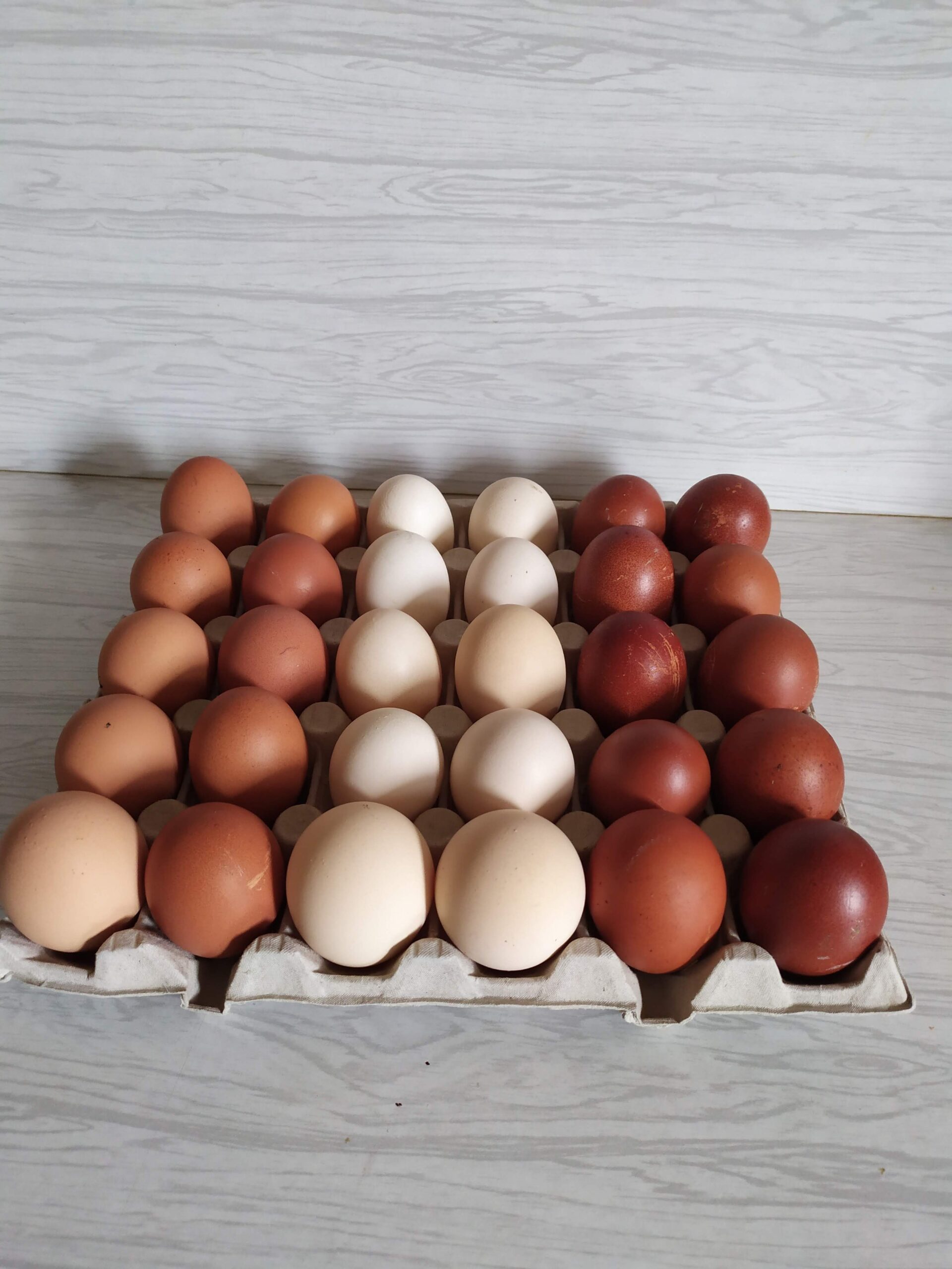 Domace vajička z registrovaného chovu