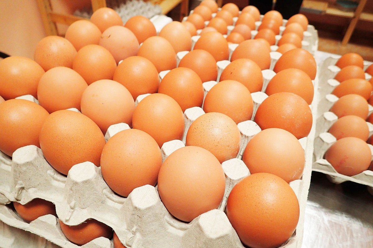 Domáce vajíčka