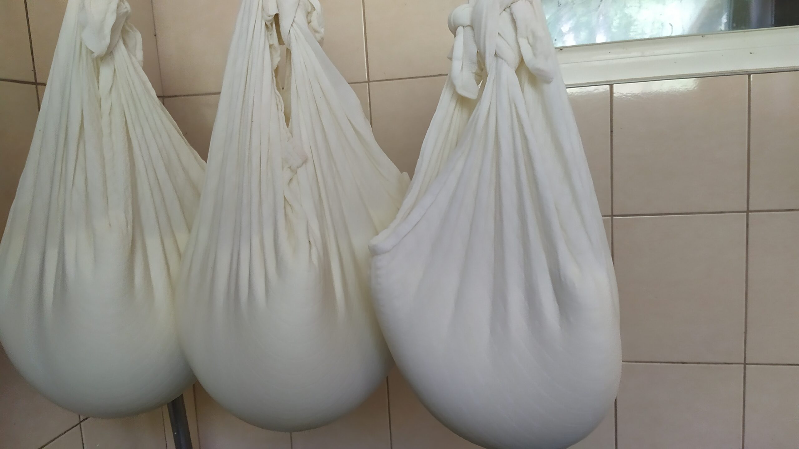 Ponúkame na predaj Ovčie syry