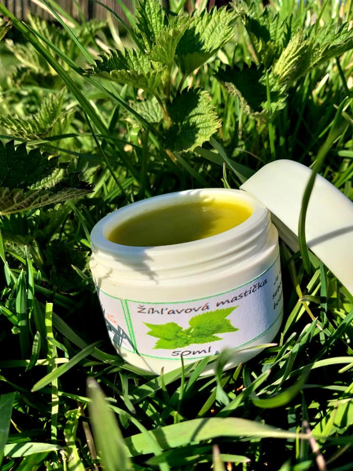 🌱Žíhľavový šľaháčik 🌱