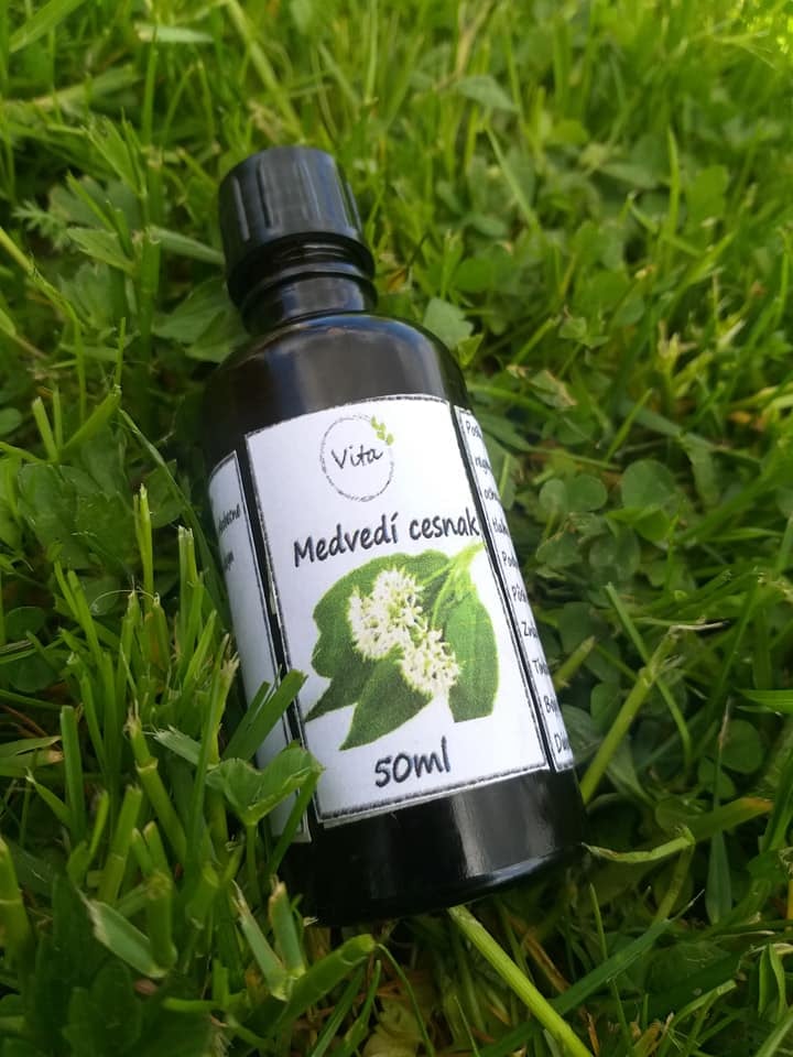 Tinktúra z medvedieho cesnaku