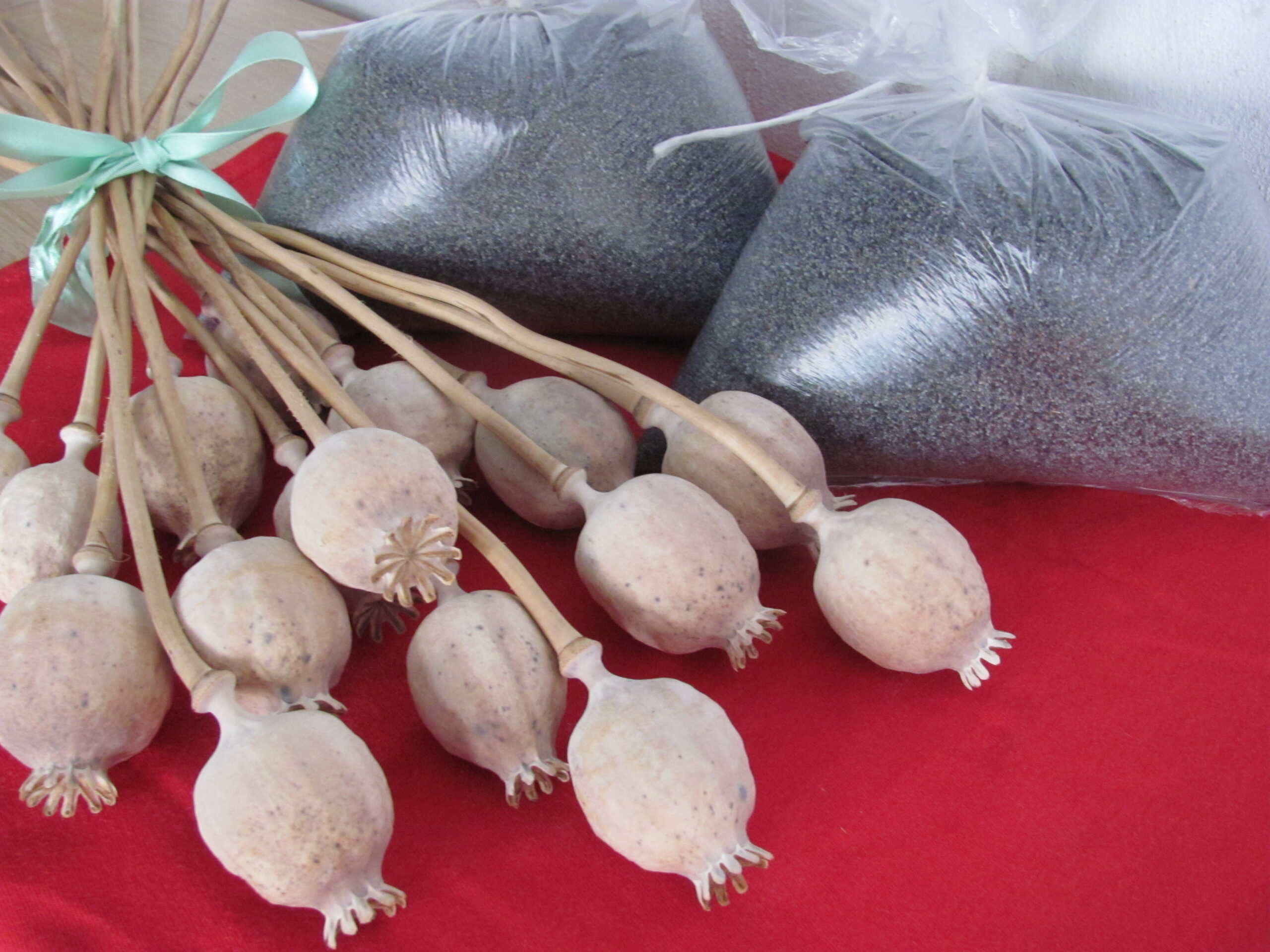 Predám mak cena za kg