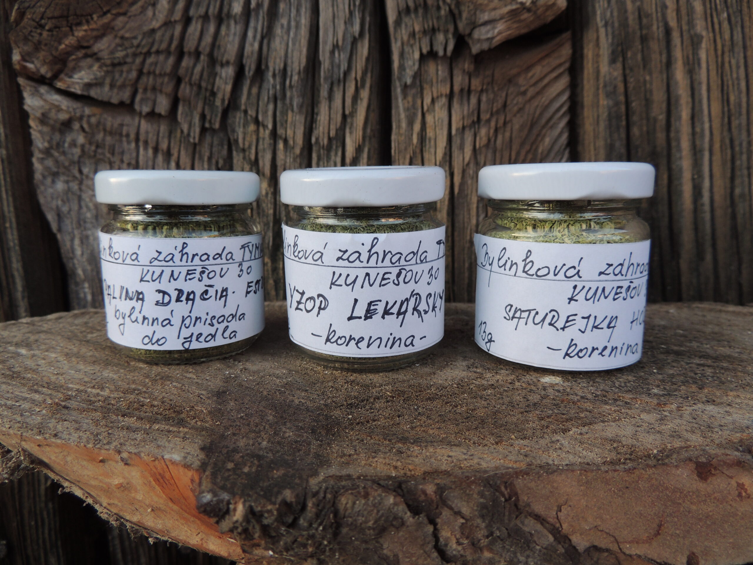 palina dračia, saturejka horská, yzop lekársky