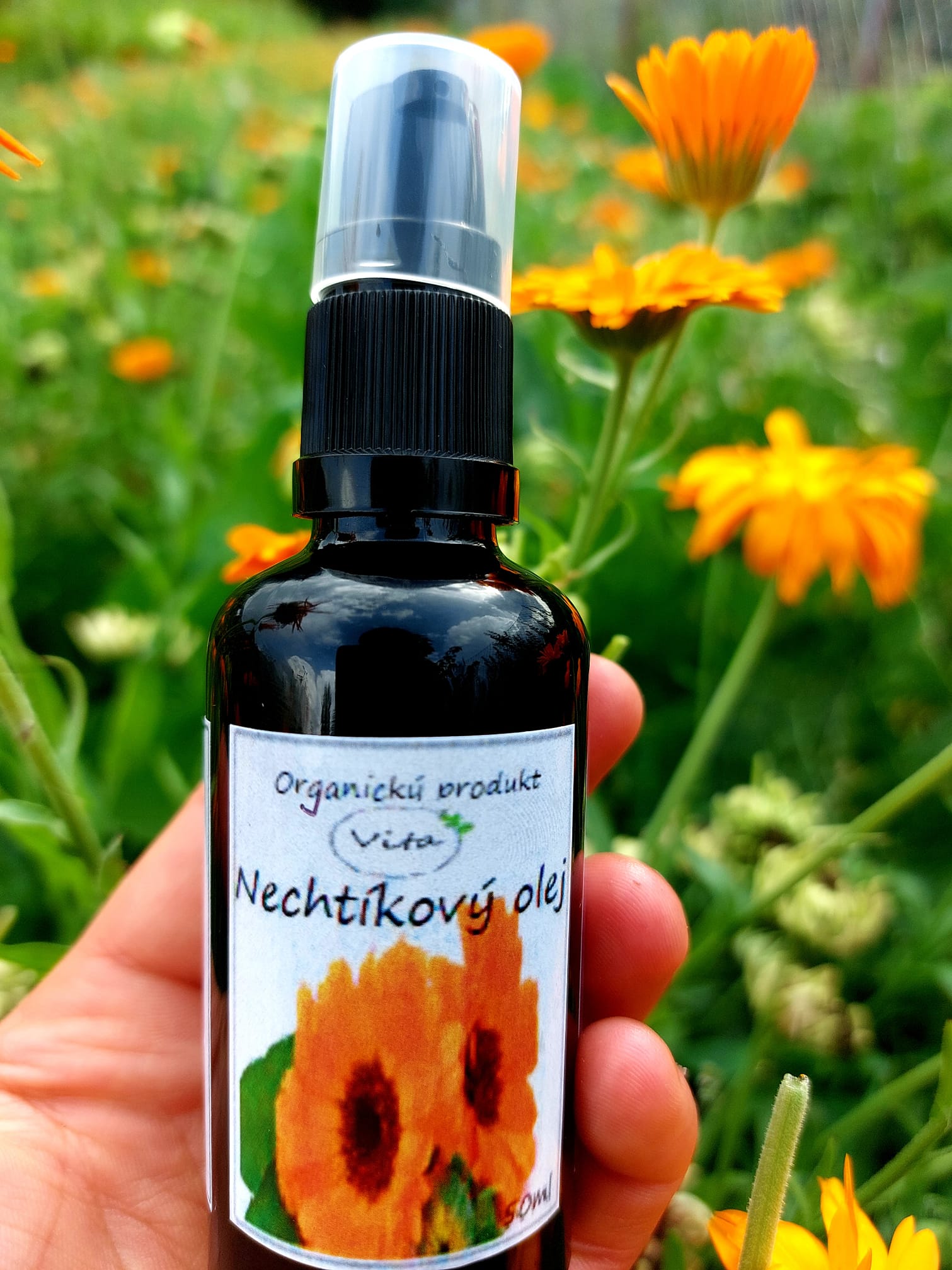 Nechtíkový olej