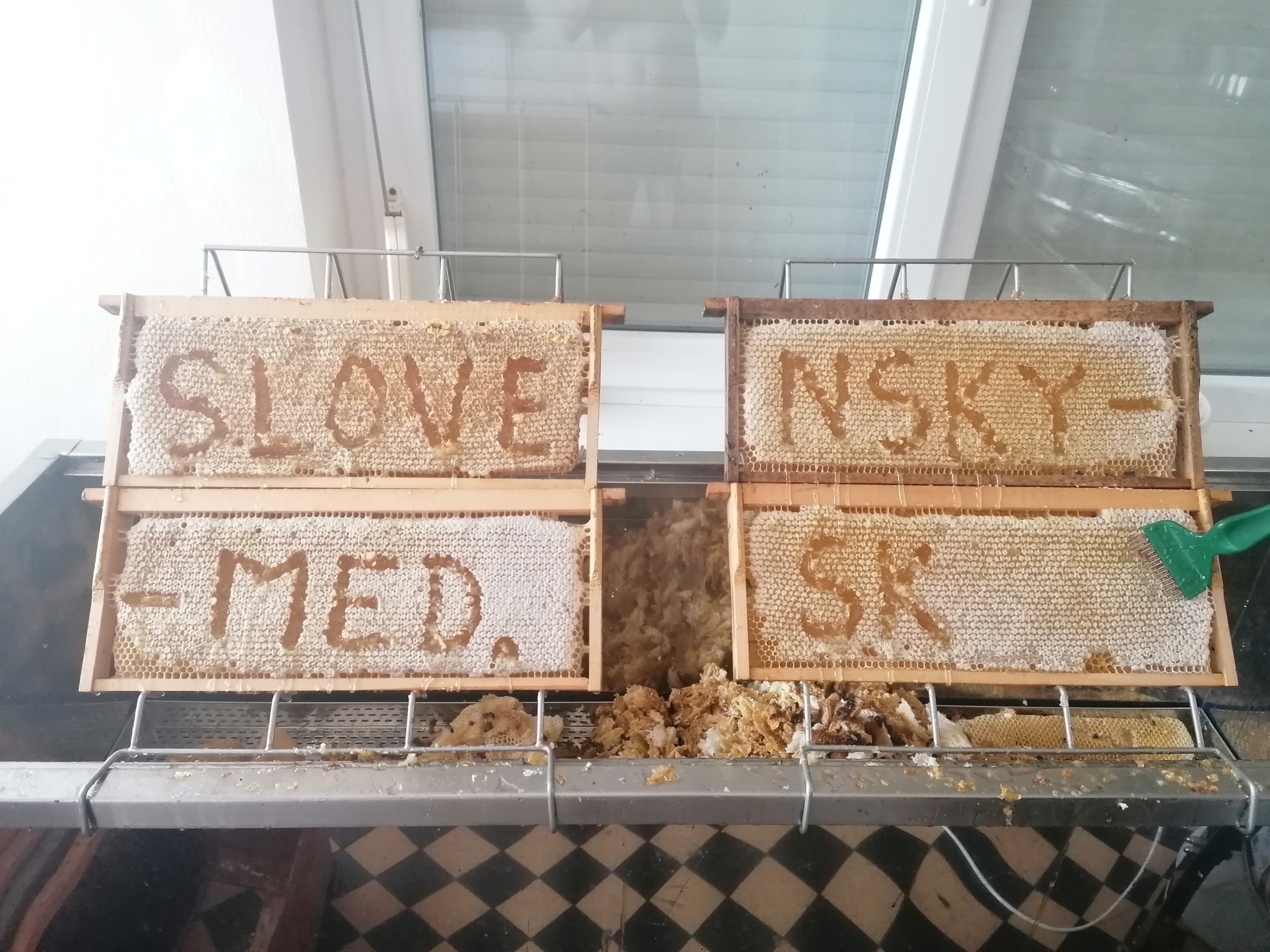 Repkový včelí med priamo od registrovaného včelára