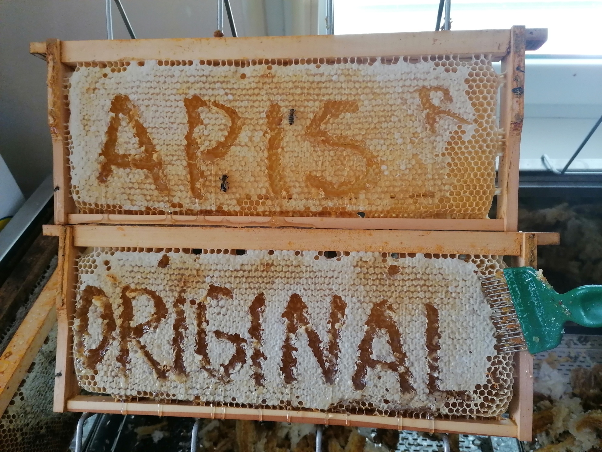 Jarný kvetový zmiešaný včelí med priamo od registrosného včelára