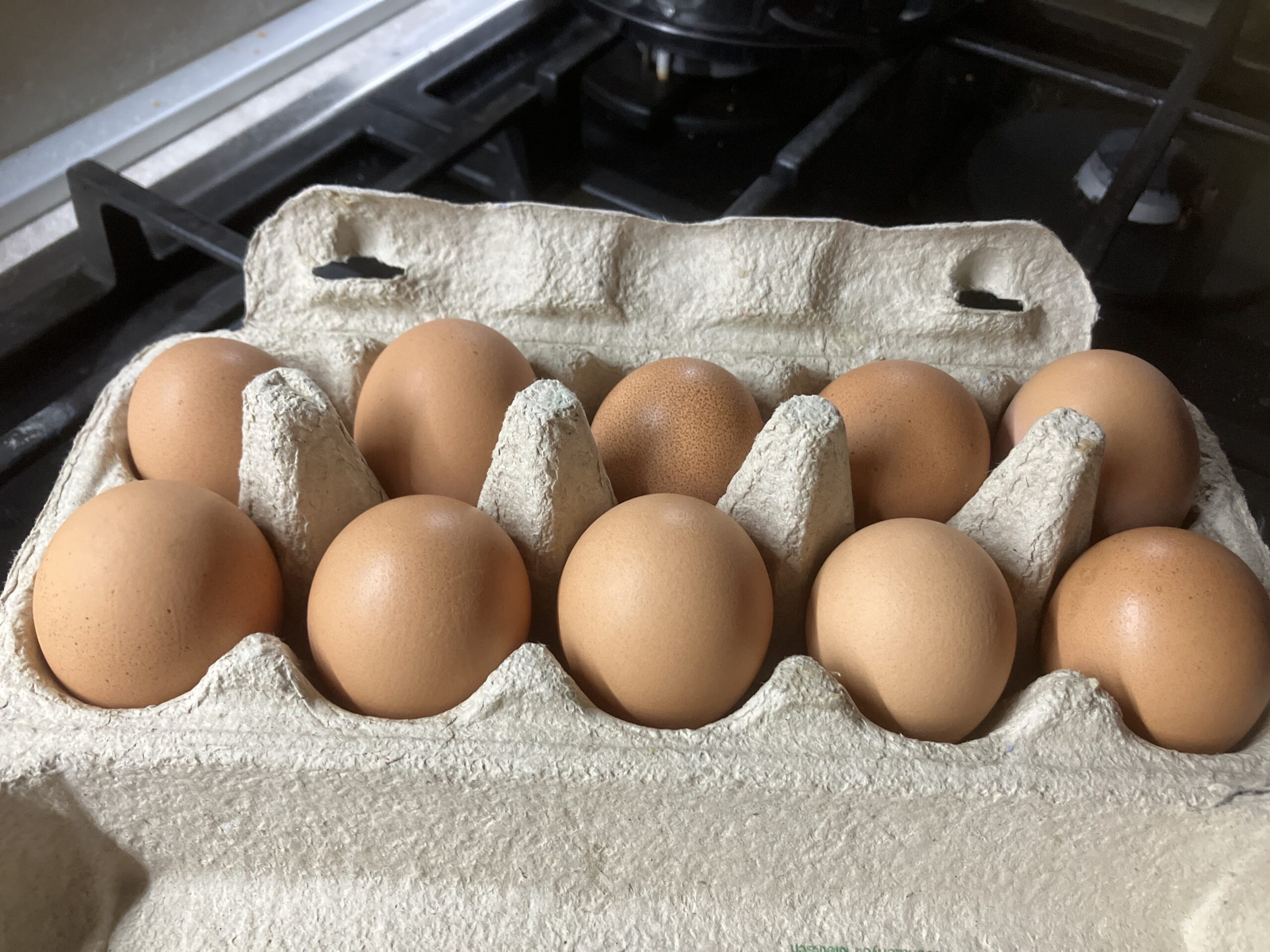 Predám domáce vajíčka