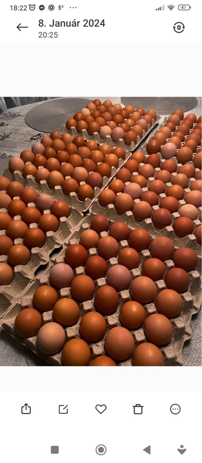 Predám domáce vajíčka.