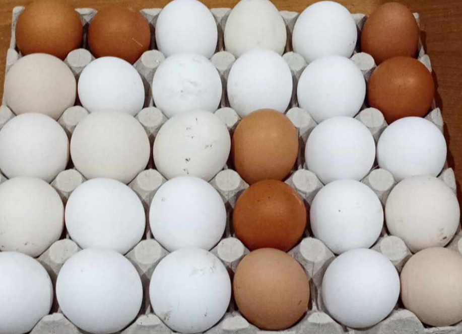 Predám domáce vajíčka