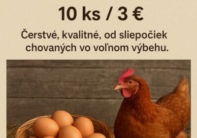 Screenshot_2025-11-19-14-55-45-377_com.openai.chatgpt-edit