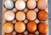 Domáce vajíčka