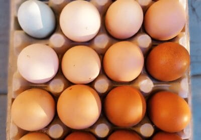 Domáce vajíčka