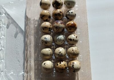 IMG_20260127_1034031