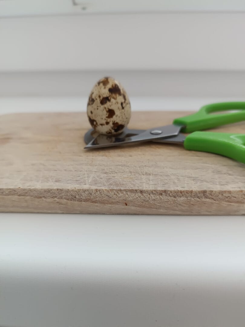 prepeličie vajíčka